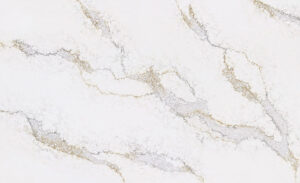 MAXXI GILD