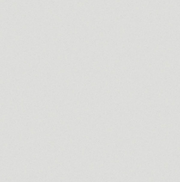 WHITE NORTH