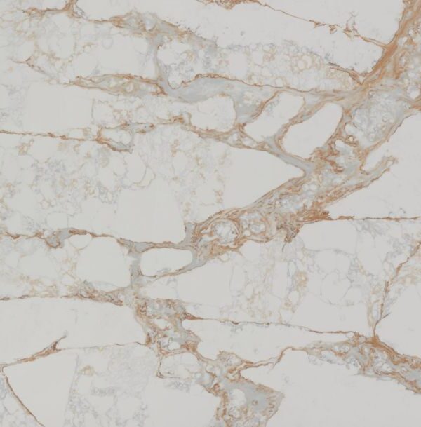 Calacatta Cremo