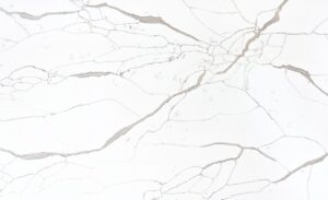 New Venetian