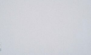 ICE BRANCO