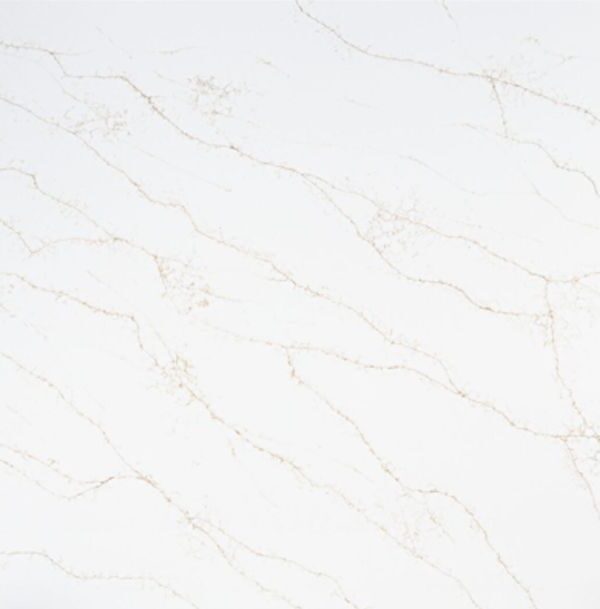 MODERNA GOLD
