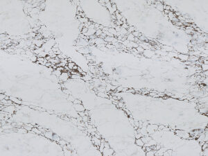 Arabescato Bronze