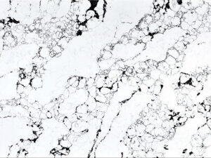 Arabescato Black