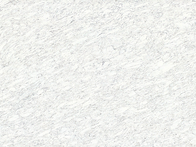 Carrara C